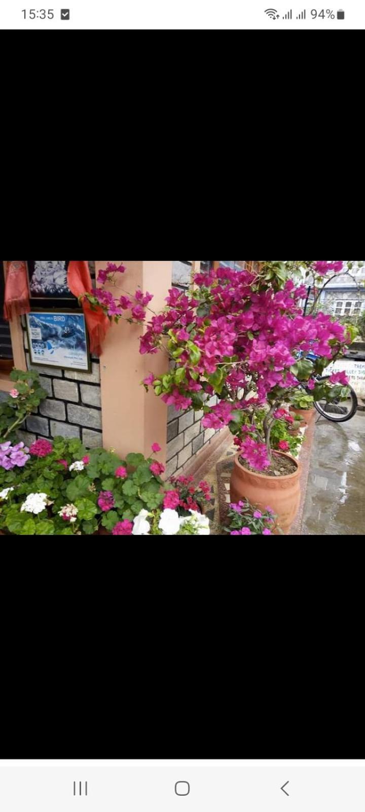 Galaxy Inn Guest House Pokhara Bagian luar foto